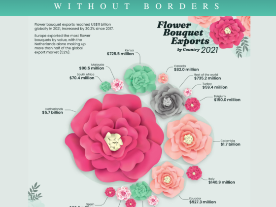 Very interesting graphics of flowers export in the world